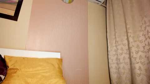 pureblisss_ @ stripchat on 20260223