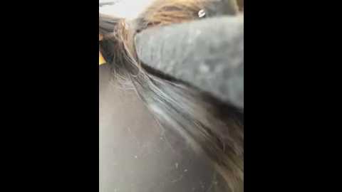 carlin_yiyi @ stripchat on 20260224