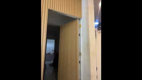 clarachanelricek @ stripchat on 20260224