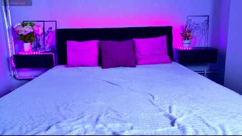 curly_girl_anna @ stripchat on 20260224