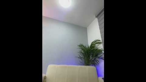 elirpo @ stripchat on 20260224