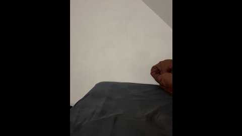 kiaraamara @ stripchat on 20260224