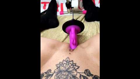 linalicious @ stripchat on 20260224