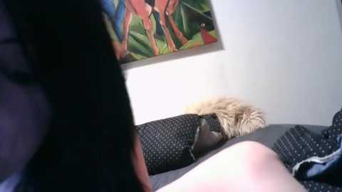 lolipopmaria @ stripchat on 20260224