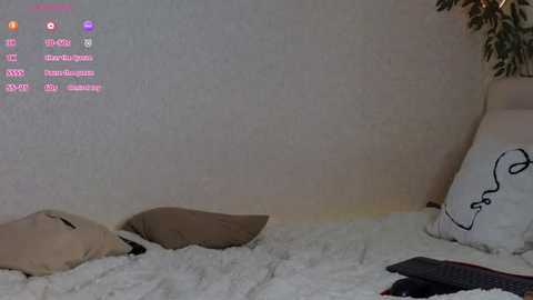 serenahall_ @ stripchat on 20260224