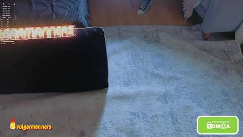 vulagarmanners_ @ stripchat on 20260224