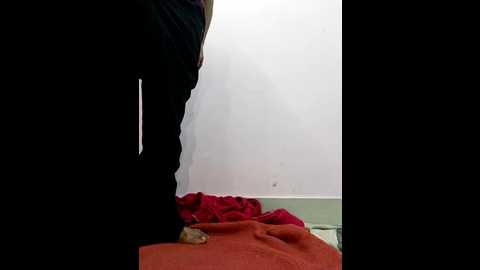 amrita_love @ stripchat on 20260225