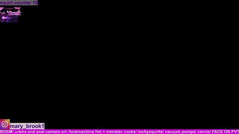 marybrook1 @ stripchat on 20260225