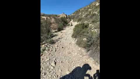 mona_plus @ stripchat on 20260225