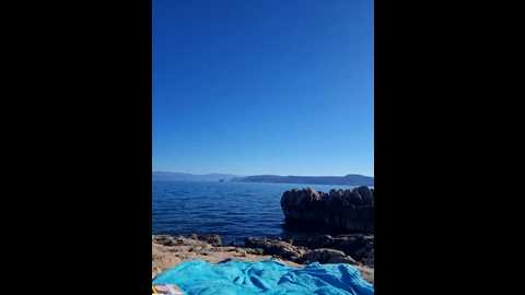 new_bad_bunny @ stripchat on 20260225