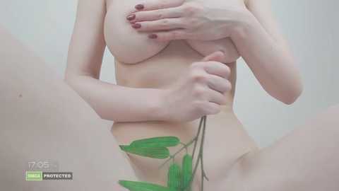 piko_crystal @ stripchat on 20260225