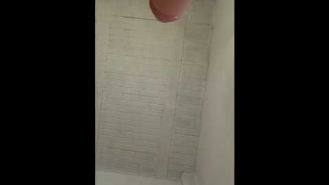 aly_golden_ @ stripchat on 20260226