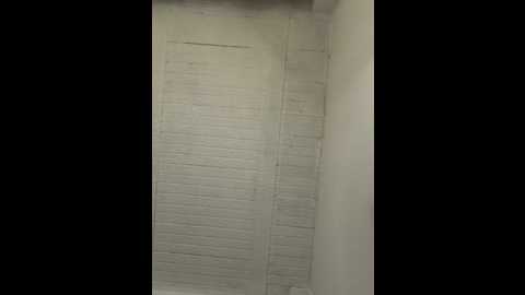 aly_golden_ @ stripchat on 20260226