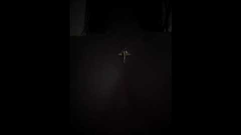 anita_vega @ stripchat on 20260226