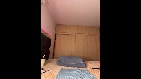 camila_sanchez25 @ stripchat on 20260226