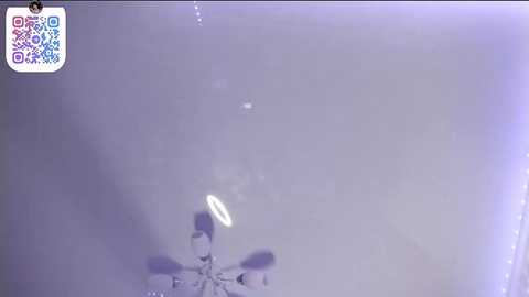 smilingpatent @ stripchat on 20260226