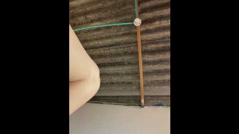 _tina_9 @ stripchat on 20260227