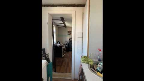 bluevelvetbat @ stripchat on 20260227