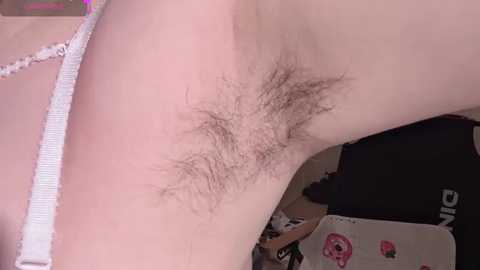 donghuangtaiyi___ @ stripchat on 20260227