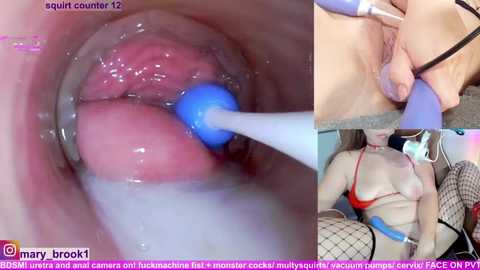 marybrook1 @ stripchat on 20260227