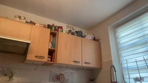 s_te_fan_i @ stripchat on 20260227