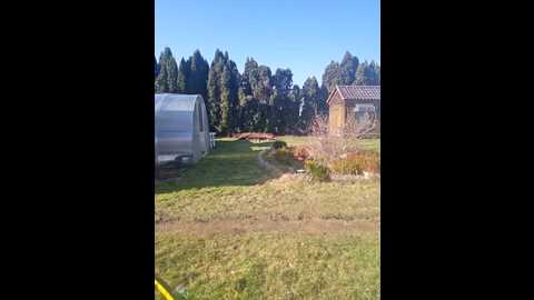 supertitten95dd @ stripchat on 20260227