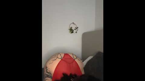 emmifly @ stripchat on 20260228