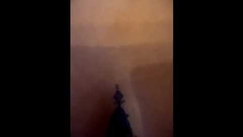 evablazexxx @ stripchat on 20260228