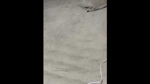 joel852 @ stripchat on 20260228