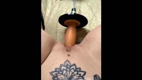 linalicious @ stripchat on 20260228