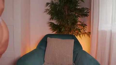 stracciastella_ @ stripchat on 20260228