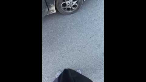 alyssafoxx_ @ stripchat on 20260301