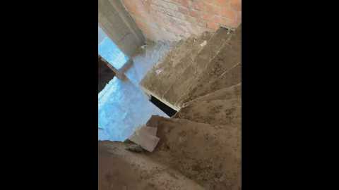 alyssafoxx_ @ stripchat on 20260301