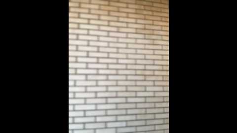 blondedoll_ @ stripchat on 20260301