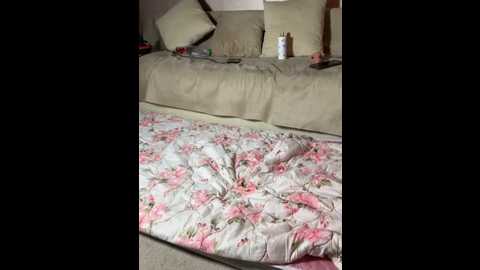 elkinga_nana @ stripchat on 20260301