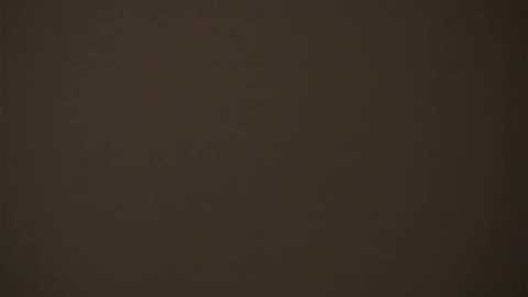 jerrijereb @ stripchat on 20260301