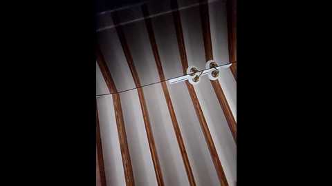 kylie_blck @ stripchat on 20260301