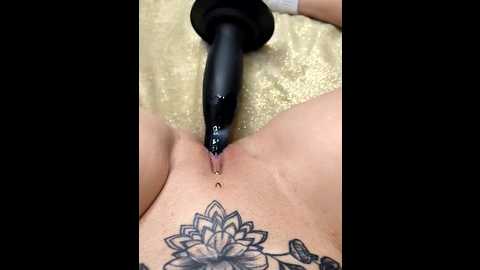 linalicious @ stripchat on 20260301