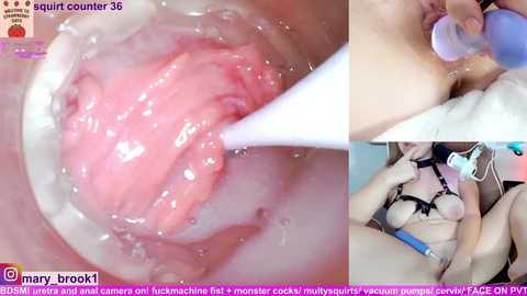 marybrook1 @ stripchat on 20260301