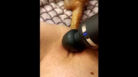 sophia429 @ stripchat on 20260301