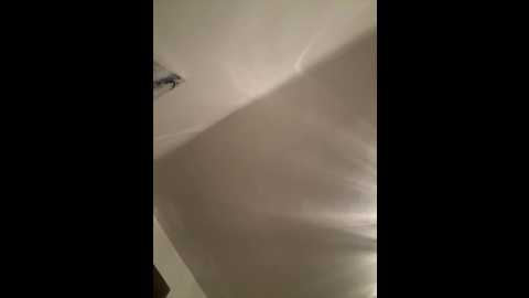 sophiiastarr @ stripchat on 20260301