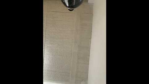 aly_golden_ @ stripchat on 20260302