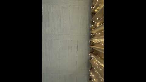 aly_golden_ @ stripchat on 20260302