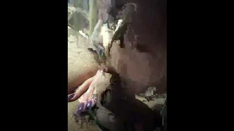 alyssafoxx_ @ stripchat on 20260302