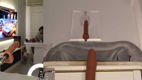 american__dream @ stripchat on 20260302