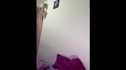 dulce_katt @ stripchat on 20260302