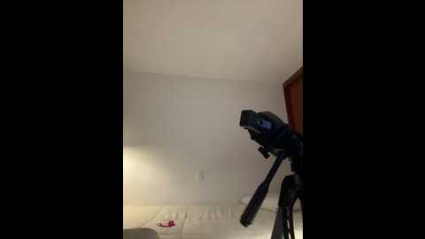 evelynrosess1 @ stripchat on 20260302