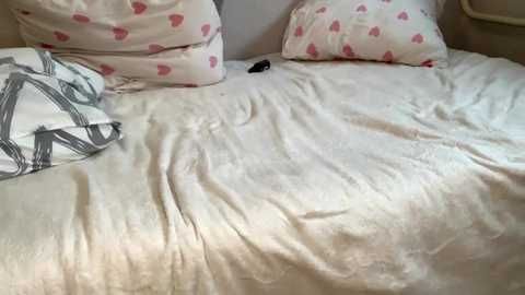 moonbabycouple @ stripchat on 20260302