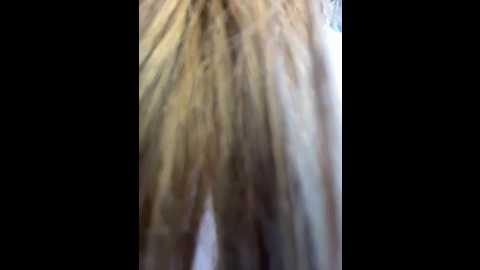 sincitydoll @ stripchat on 20260302