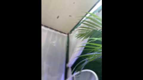 goodgirlgonebadxxx @ stripchat on 20260303